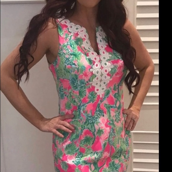 Gabby shift dress chatty shack - Picture 2 of 4